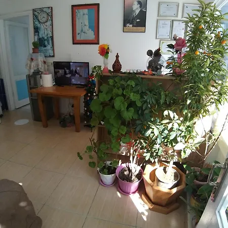 Beyaz Homestay Cesme